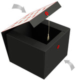 Lips Amrita EZ Gift Box 10x10x8 Inches - ezgiftbox