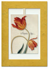 Mini Swing,2 Tulips Ambassador,Elegant Blank Greeting Cards