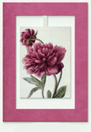 Mini Swing,Pivoine With Bud, Elegant Blank Greeting Cards with Floral Designs For All Occasions