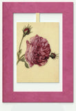 Mini Swing,Rose, Elegant Blank Greeting Cards with Floral Designs For All Occasions