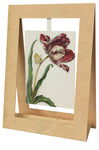 Mini Swing,Tulip With Butterfly, Elegant Blank Greeting Cards with Floral Designs  For All Occasions